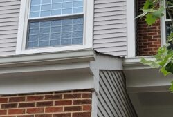 Alexandria, VA New Windows for the Jones Family