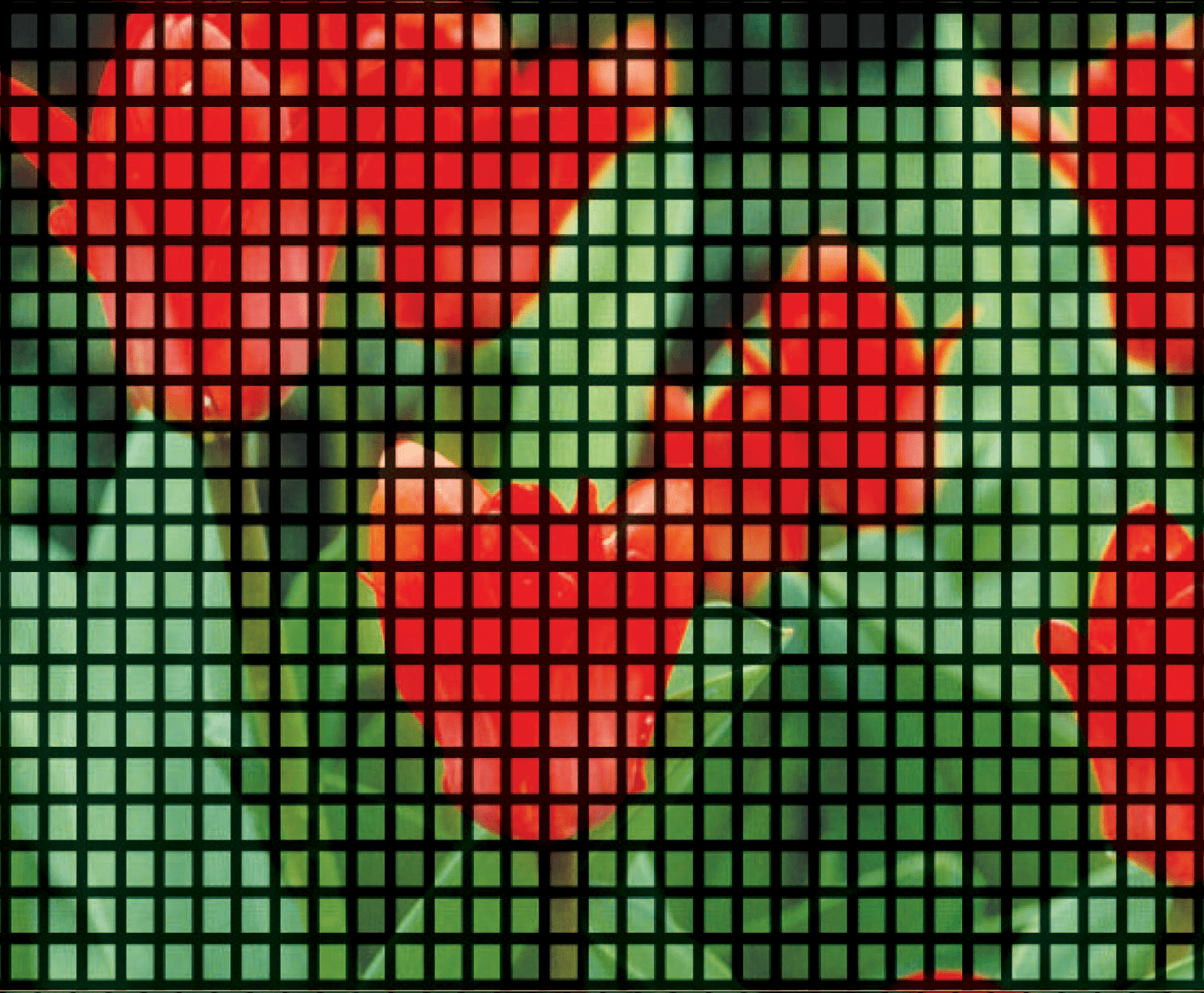 Industry Average Screen image